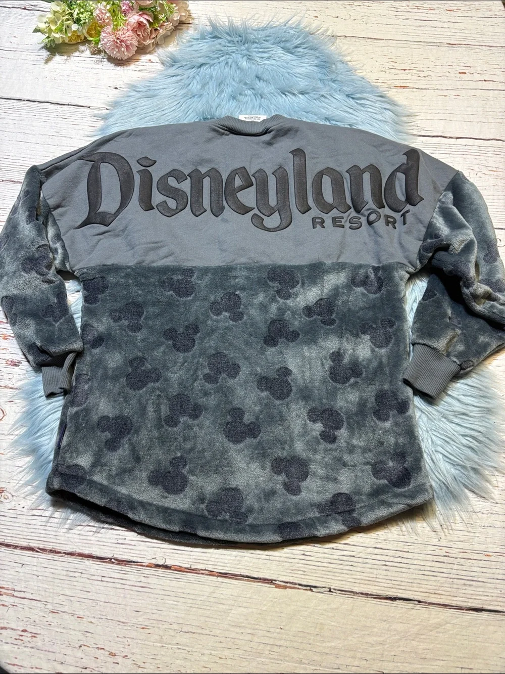 SPIRIT JERSEY disneyland resort